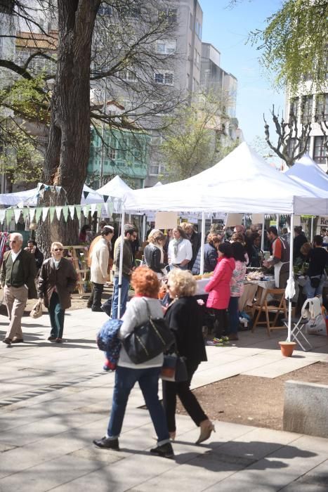 Mercado ecológico en la plaza de España