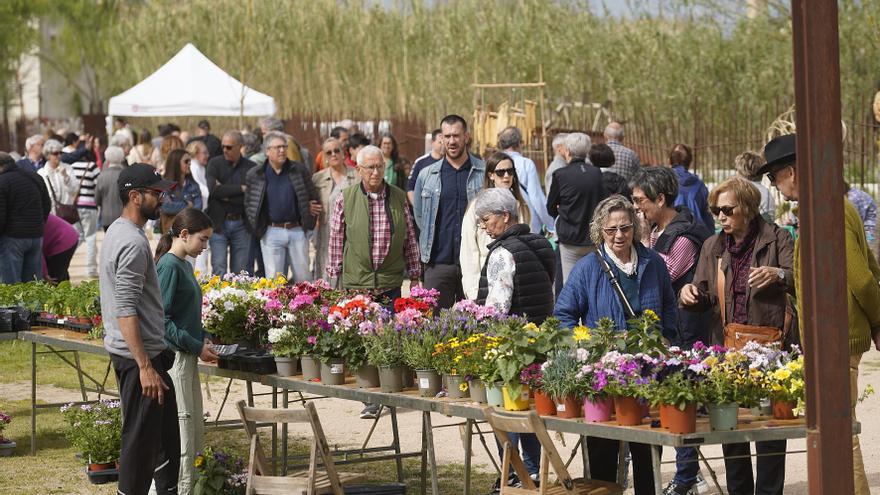 La Fira de la flor i el planter en imatges