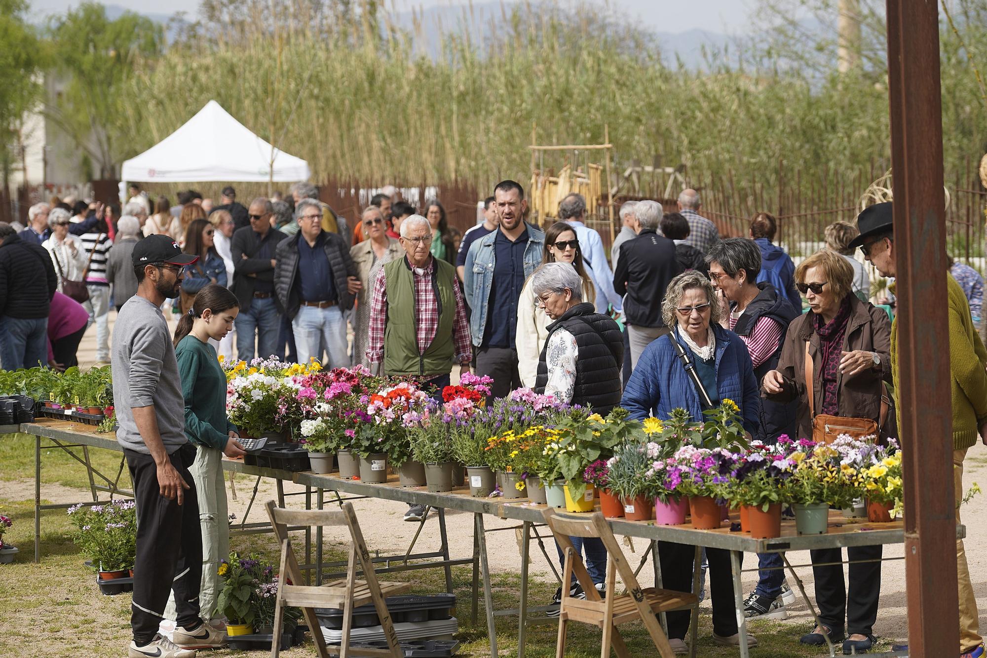 La Fira de la flor i el planter en imatges