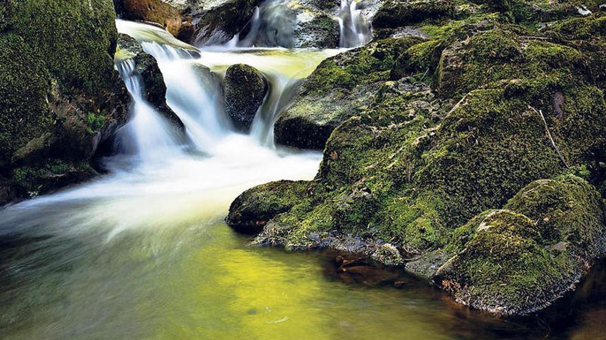 El agua, fuente de vida y recurso único que hay que cuidar y proteger. |