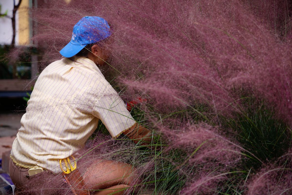 Comienza el montaje de las instalaciones de Flora 2025