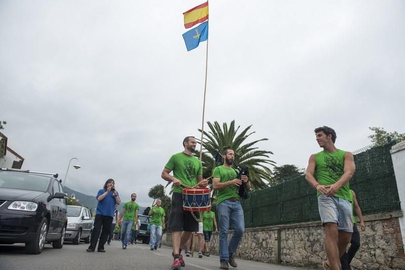 Celoriu planta su hoguera