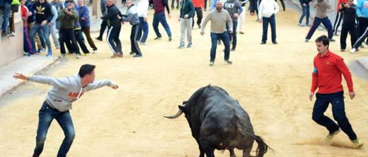 Los festejos de «bous al carrer» prohibirán hacer fotos o usar el móvil