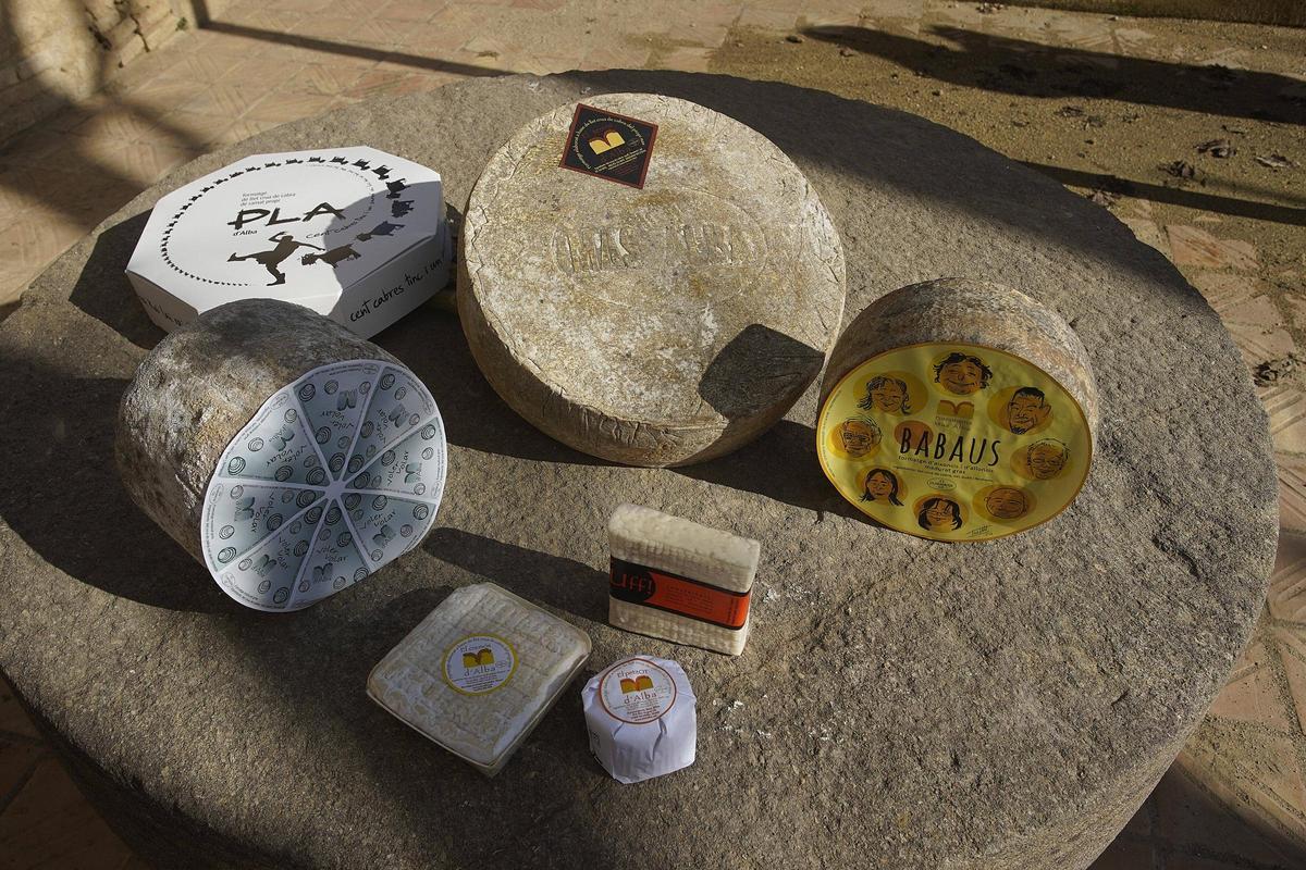 Els formatges artesanals de Mas Alba.