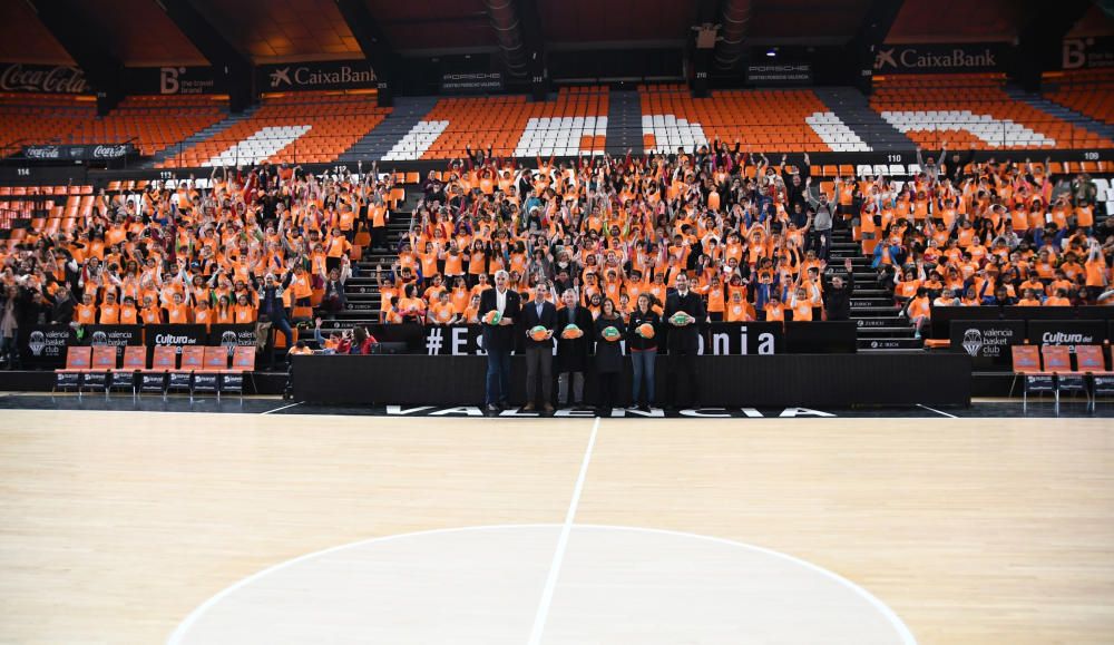 Actibasket en La Fonteta y l’Alqueria del Basket