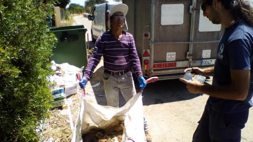 Müllmänner finden zwei Hirsch-Kadaver im Bauschutt