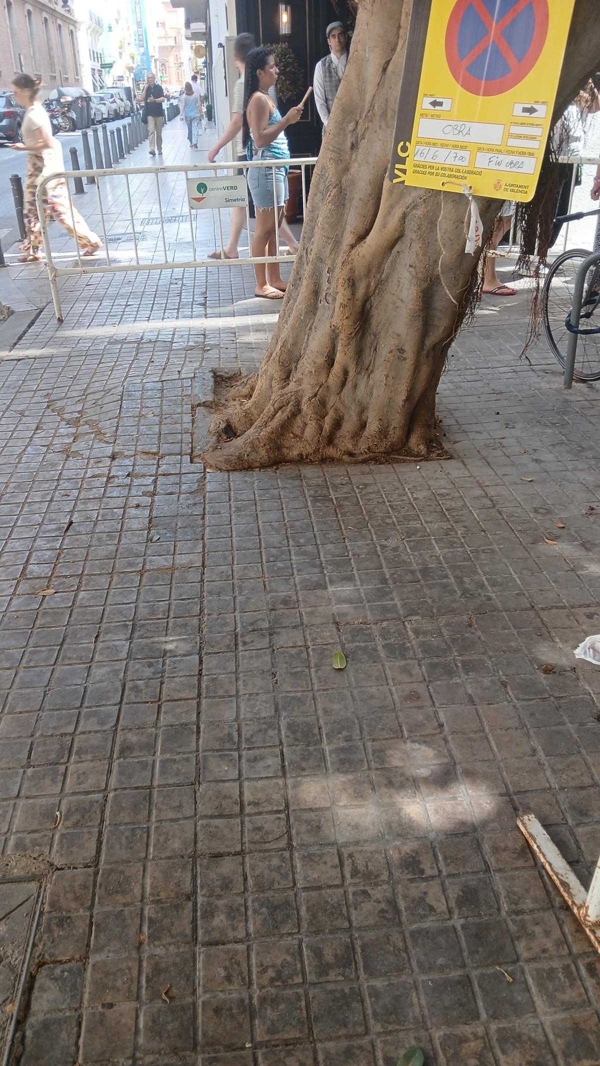 Así estaba el alcorque antes de su ampliación