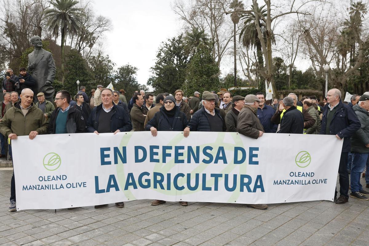 Un grupo de agricultores participan en una movilización en la Plaza de España de Sevilla. Un grupo de agricultores participan en una movilización en la Plaza de España de Sevilla.