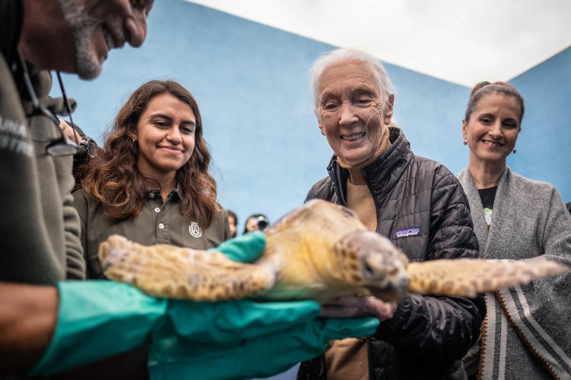 Jane Goodall visita distintos lugares en Tenerife