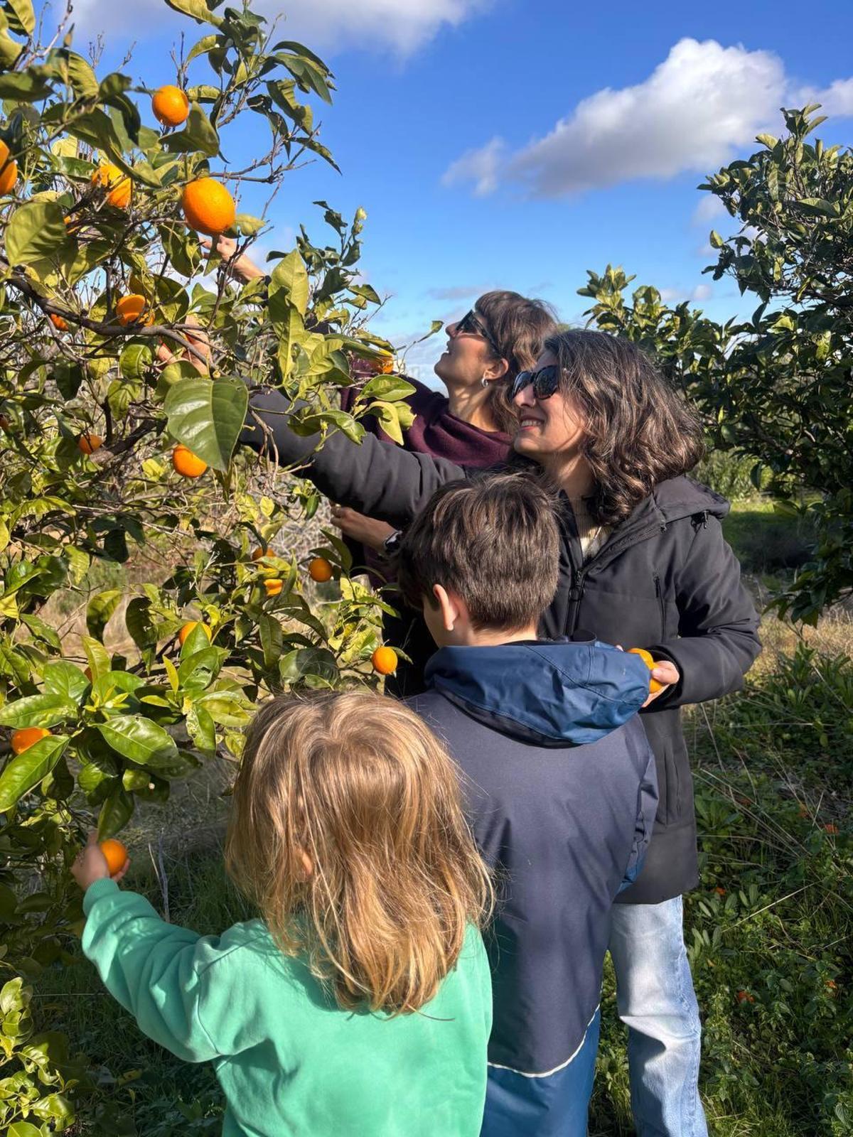 Irene de Miguel, candidata de Unidas por Extremadura, en el campo con su familia durante la jornada de reflexión del 21D en Extremadura.