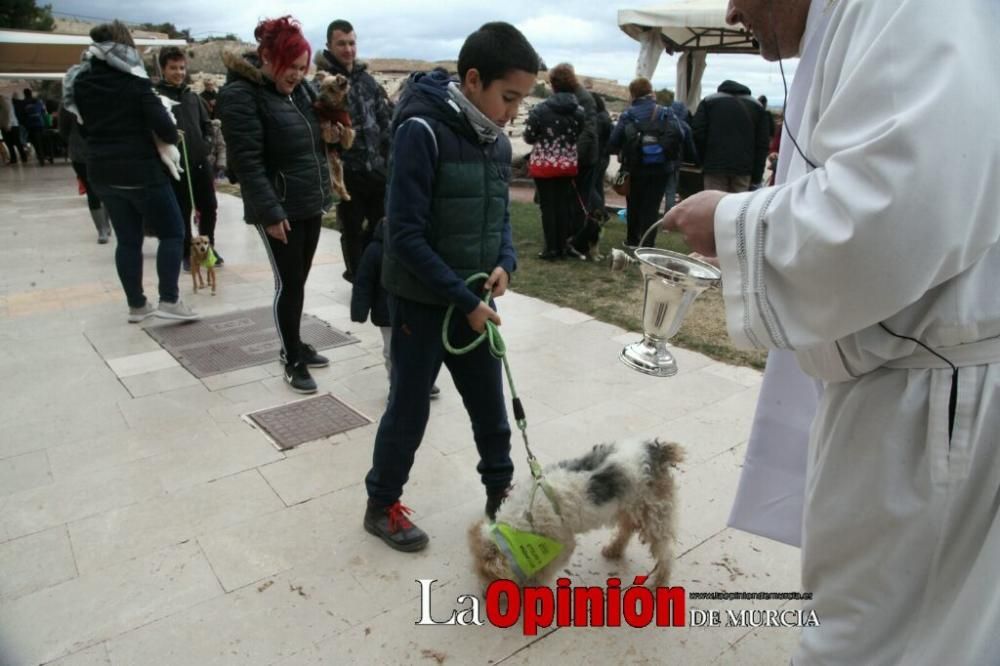 Jornada especial por San Antón en la Fortaleza del Sol de Lorca