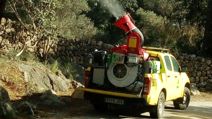 Comienza la fumigación terrestre contra la procesionaria del pino