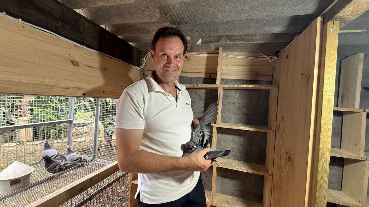 Gerardo Alonso, en su palomar, posa con La Moscona, una de sus mejores palomas de competición en larga distancia
