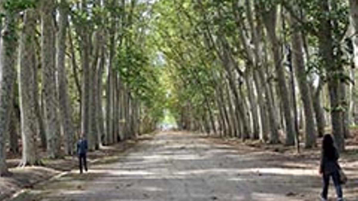 Dues persones passegen pel parc de la Devesa de Girona. | RUBEN GARCA / ICONNA