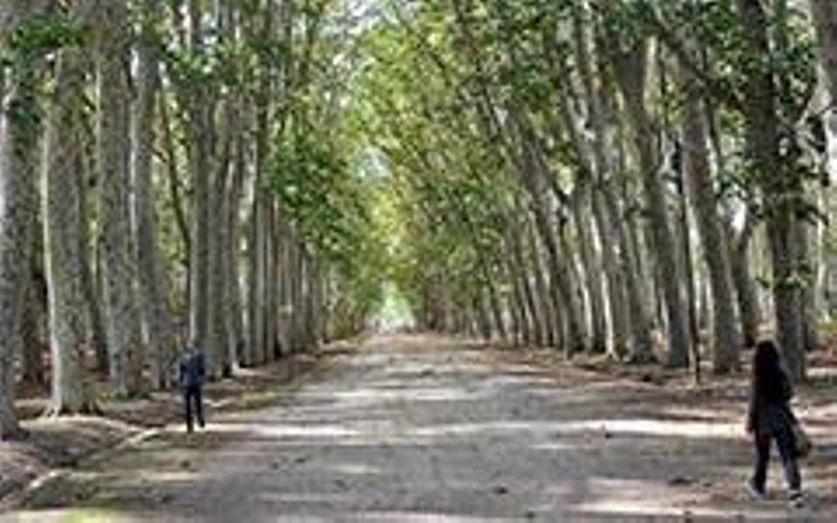 Dues persones passegen pel parc de la Devesa de Girona.  | RUBEN GARCA / ICONNA