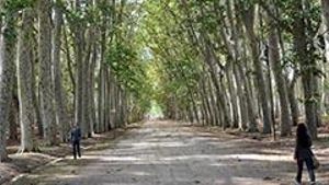 Dues persones passegen pel parc de la Devesa de Girona.  | RUBEN GARCA / ICONNA