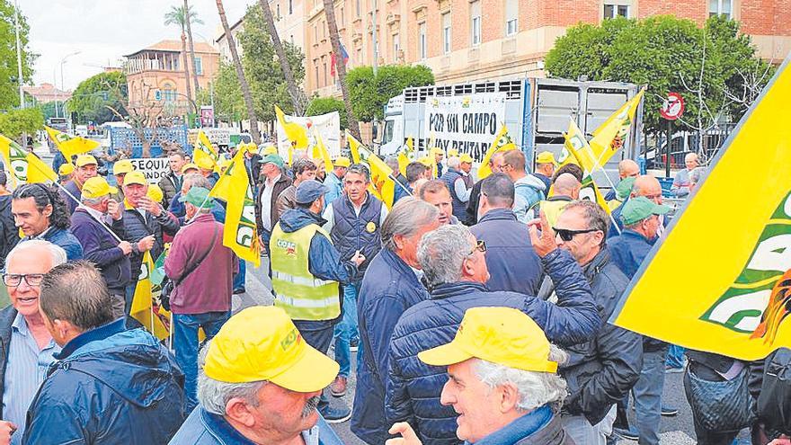 Agricultores de secano y ganadería extensiva demandan medidas urgentes por la sequía