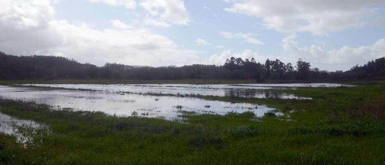 El río Umia desbordado a su paso por Baión, en Vilanova de Arousa. // Noé Parga