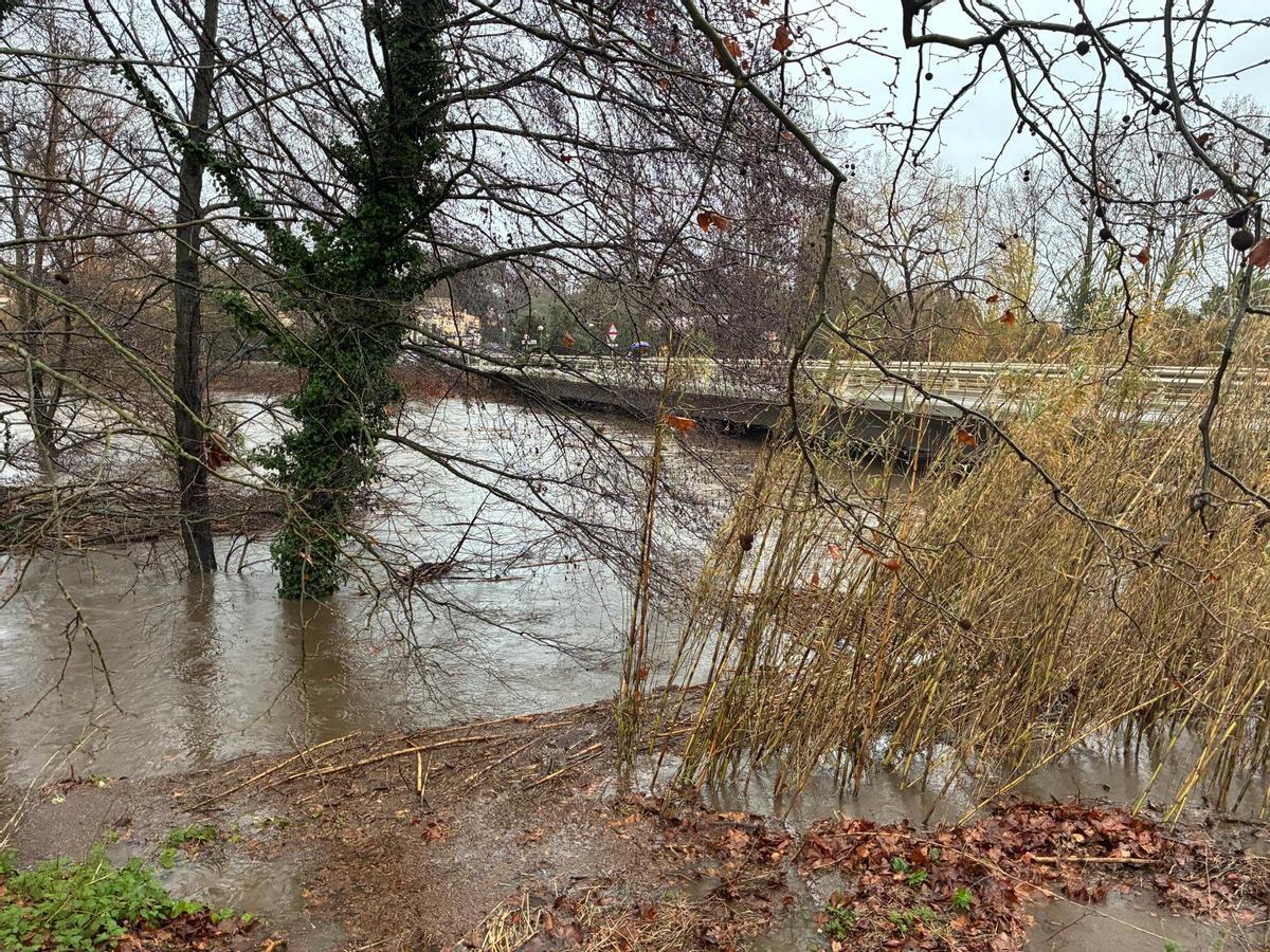 EN IMATGES | El Llobregat, afluent de la Muga, provoca inundacios a Peralada.