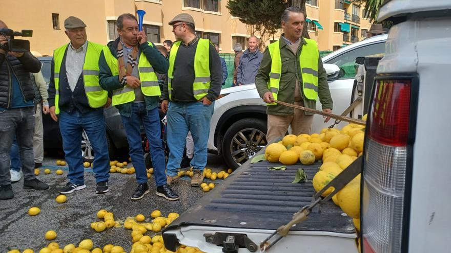 Los agricultores de Málaga tiran limones en protesta por la situación del campo