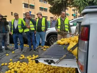 Los agricultores de Málaga tiran limones en protesta por la situación del campo