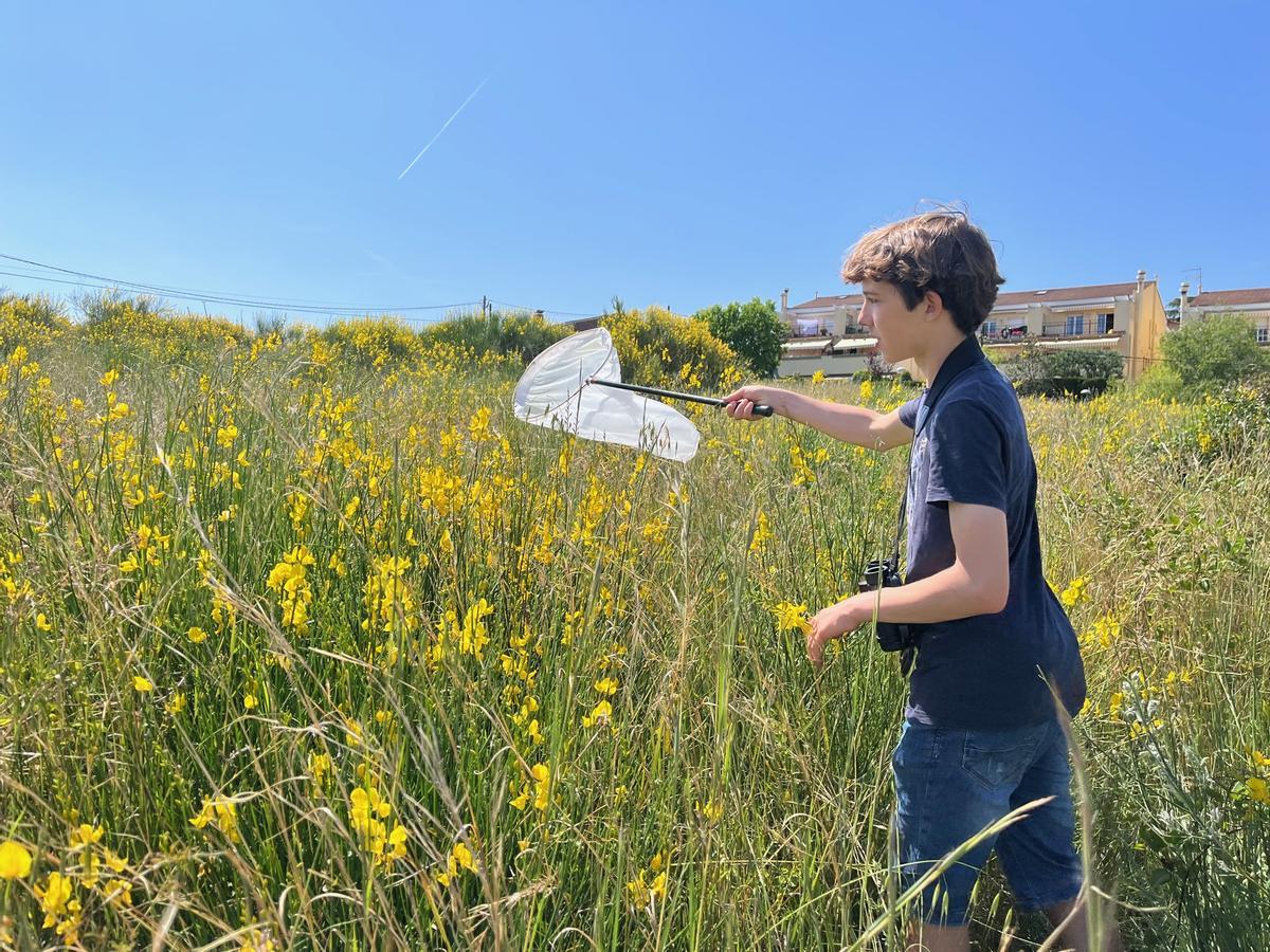 Nil Redón, voluntario del Observatorio Metropolitano de Mariposas, lleva a cabo un recuento de ejemplares en el Parc del Tramvía de Montgat.