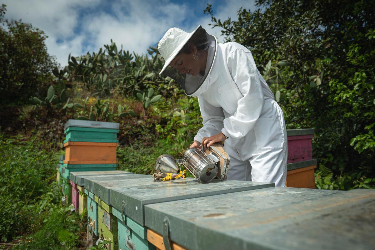 Natalia Díaz enseña su finca ecológica Ecoalpispa por el Día Mundial de las Abejas