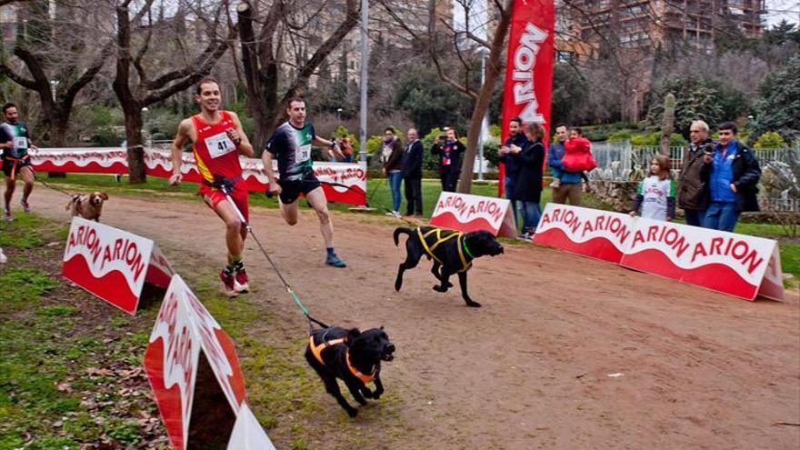 Deporte y amor por los animales en el parque del príncipe