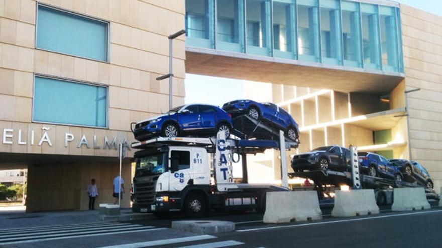 Desembarco masivo de Volkswagen en el Palacio de Congresos de Palma