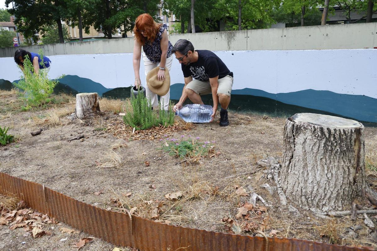 Les imatges del jardí de ratafia de Girona Les imatges del jardí de ratafia de Girona