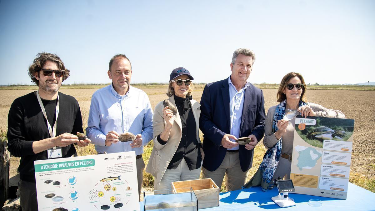 “Alianza por el Petxinot”, una iniciativa impulsada por la Fundación Oceanogràfic, la Fundación Aguas de Valencia y la Generalitat Valenciana (G