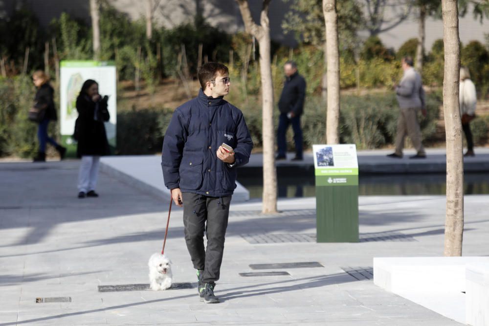 Abre el Parc Central de València