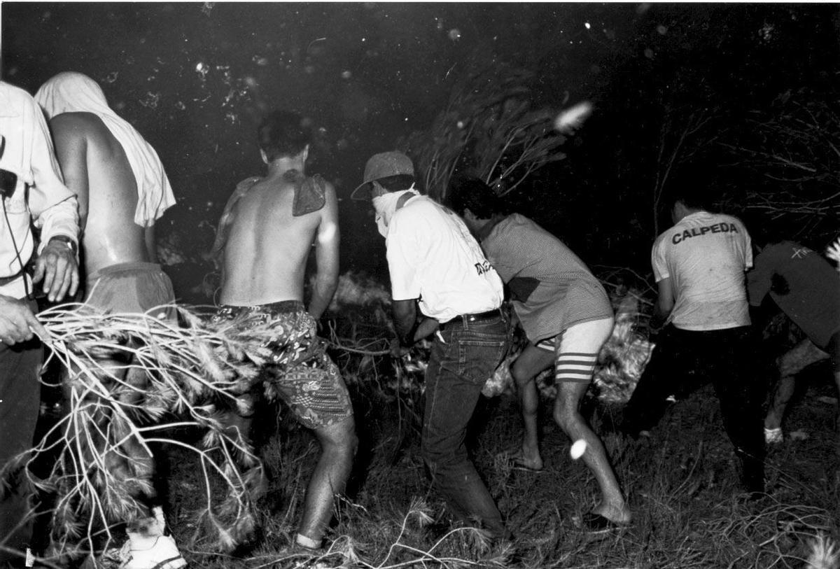 Labores de ayuda del incendio del bosque de la Vallesa de 1994.