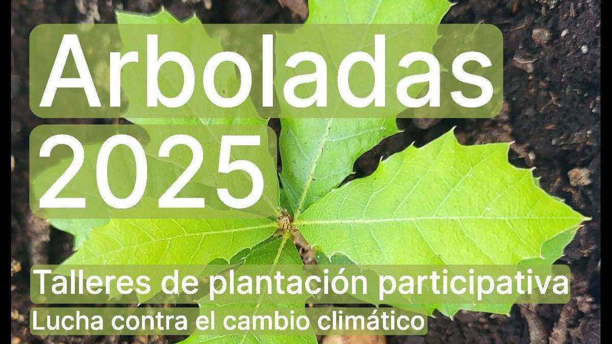 Iniciativa contra el cambio climático: plantaciones de arboladas en Monda