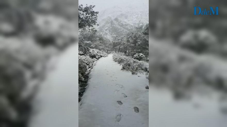 (VÍDEO) Nieve en Mallorca | Esquiando en el Puig de Massanella y de excursión del Puig de L&#039;Ofre a Cúber