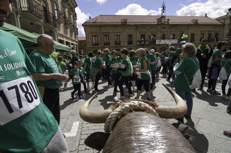 Así ha transcurrido la IV Marcha contra el Cáncer