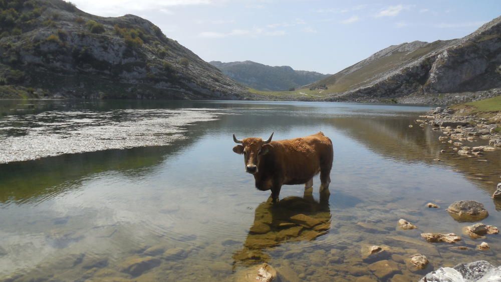 Las 40 fotos que demuestran que en Asturias no llueve siempre