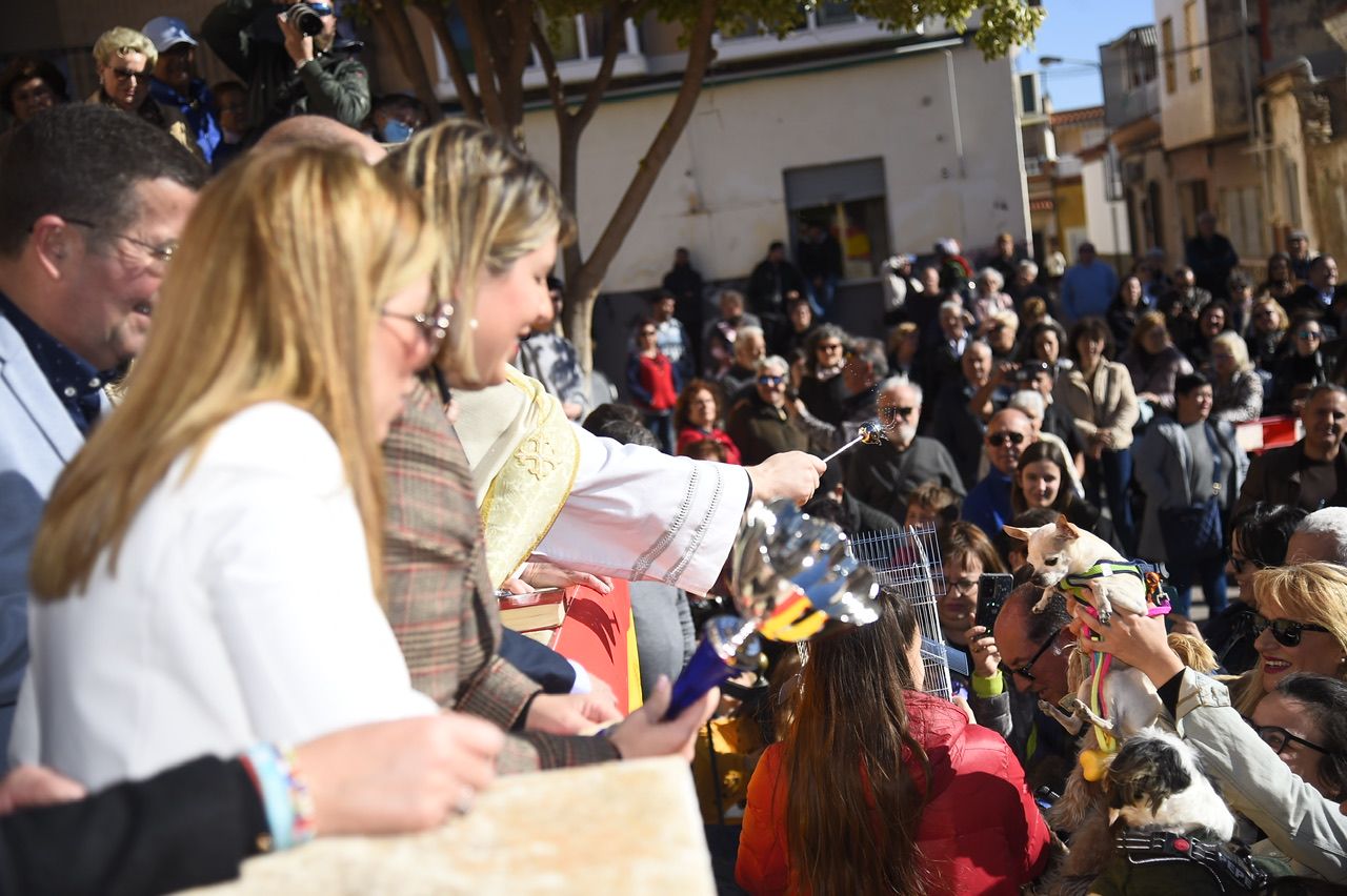 Bendición de animales por San Antón en Cartagena