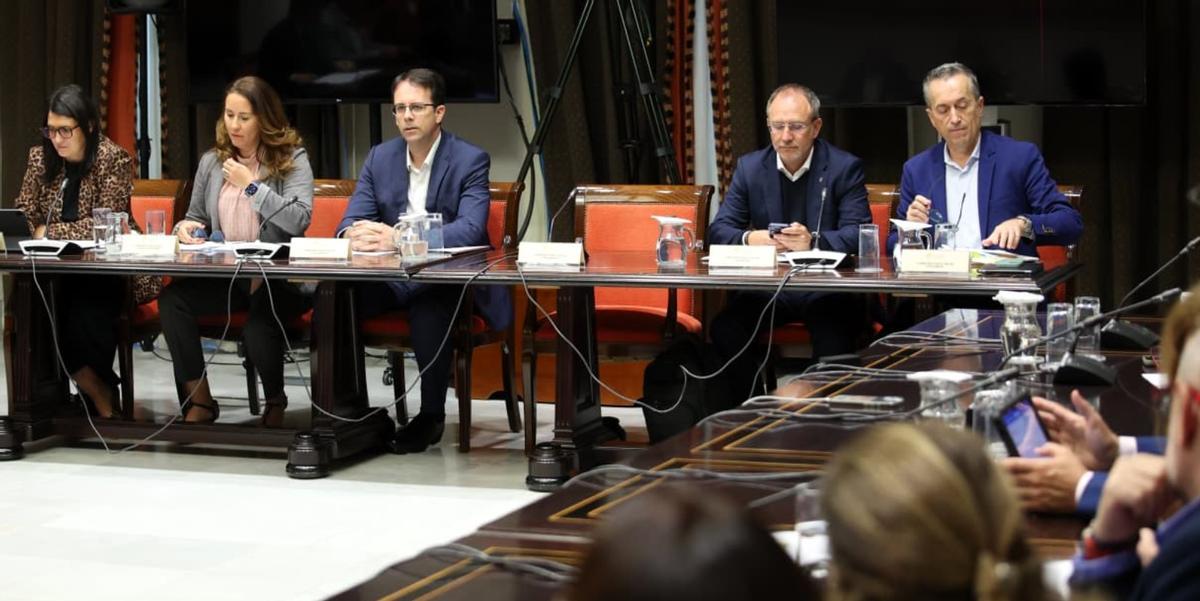Los representantes de los cabildos en su comparecencia en el Parlamento de Canarias.
