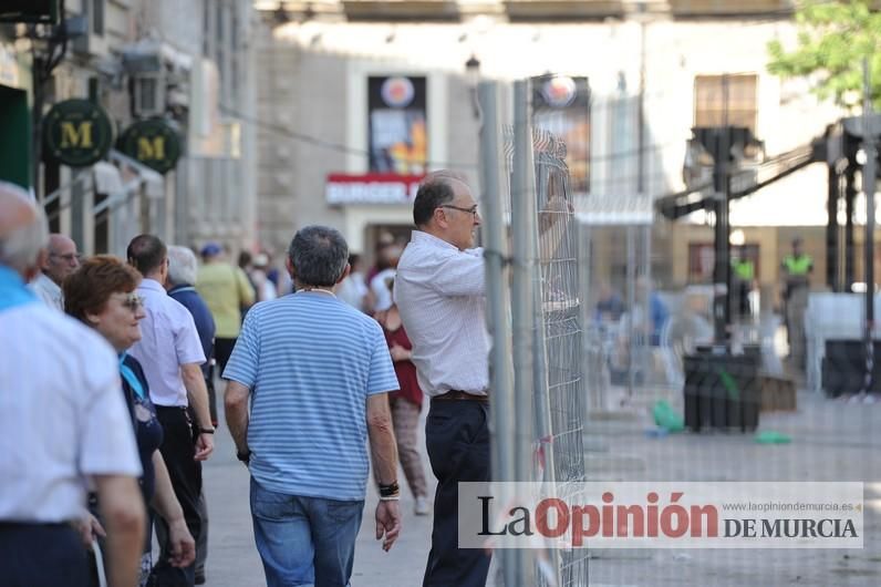 El día después de la caída de la rama del ficus de