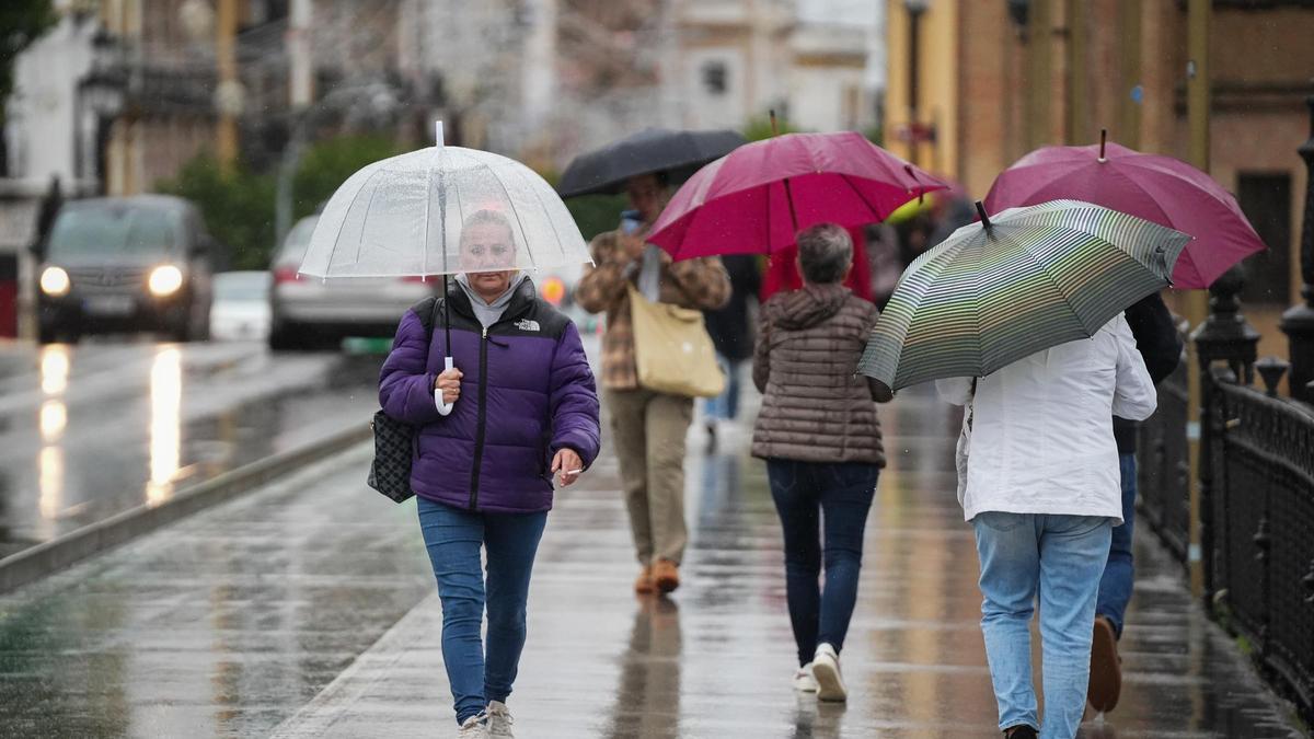 Diverses persones es protegixen de la pluja amb els seus paraigües
