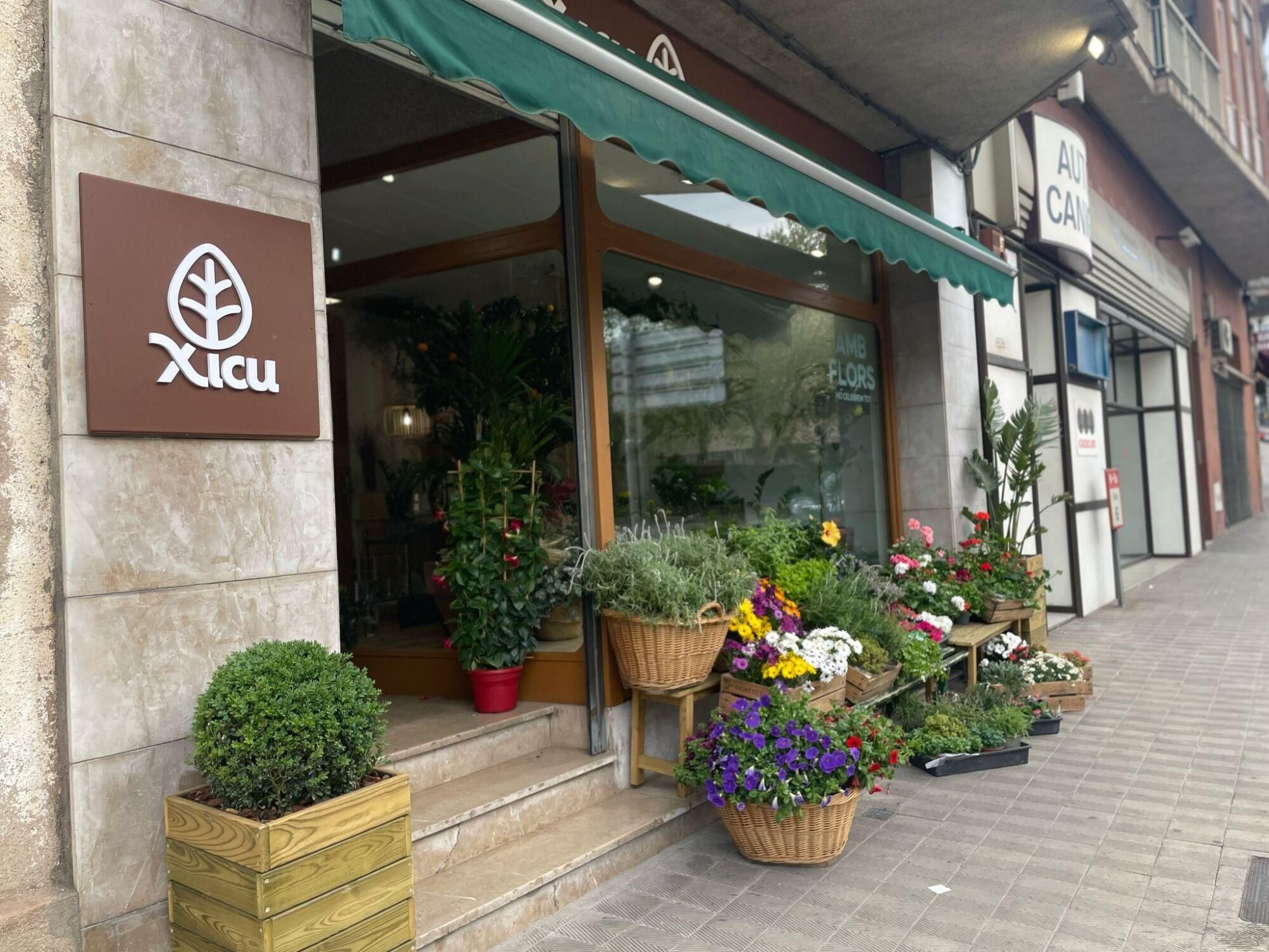 Floristería la esquinita Roque y Lourdes