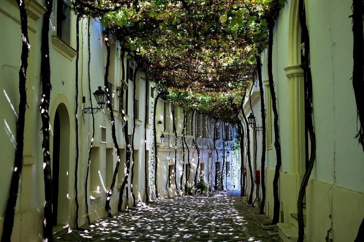 Callejón de los ciegos (Jerez de la Frontera, Cádiz) 