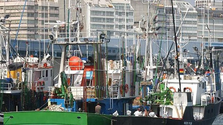 Buques boniteros estudian dejar la costera al bajar las capturas en los  últimos días - La Opinión de A Coruña