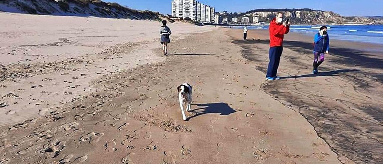 Varios paseantes, ayer, ante los restos de carbón depostiados en la playa de San Juan.