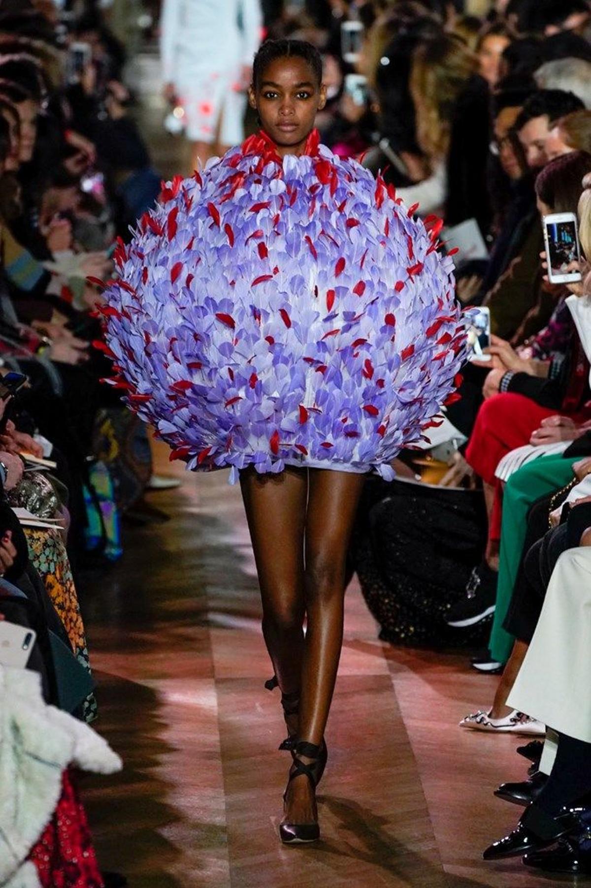 Schiaparelli
