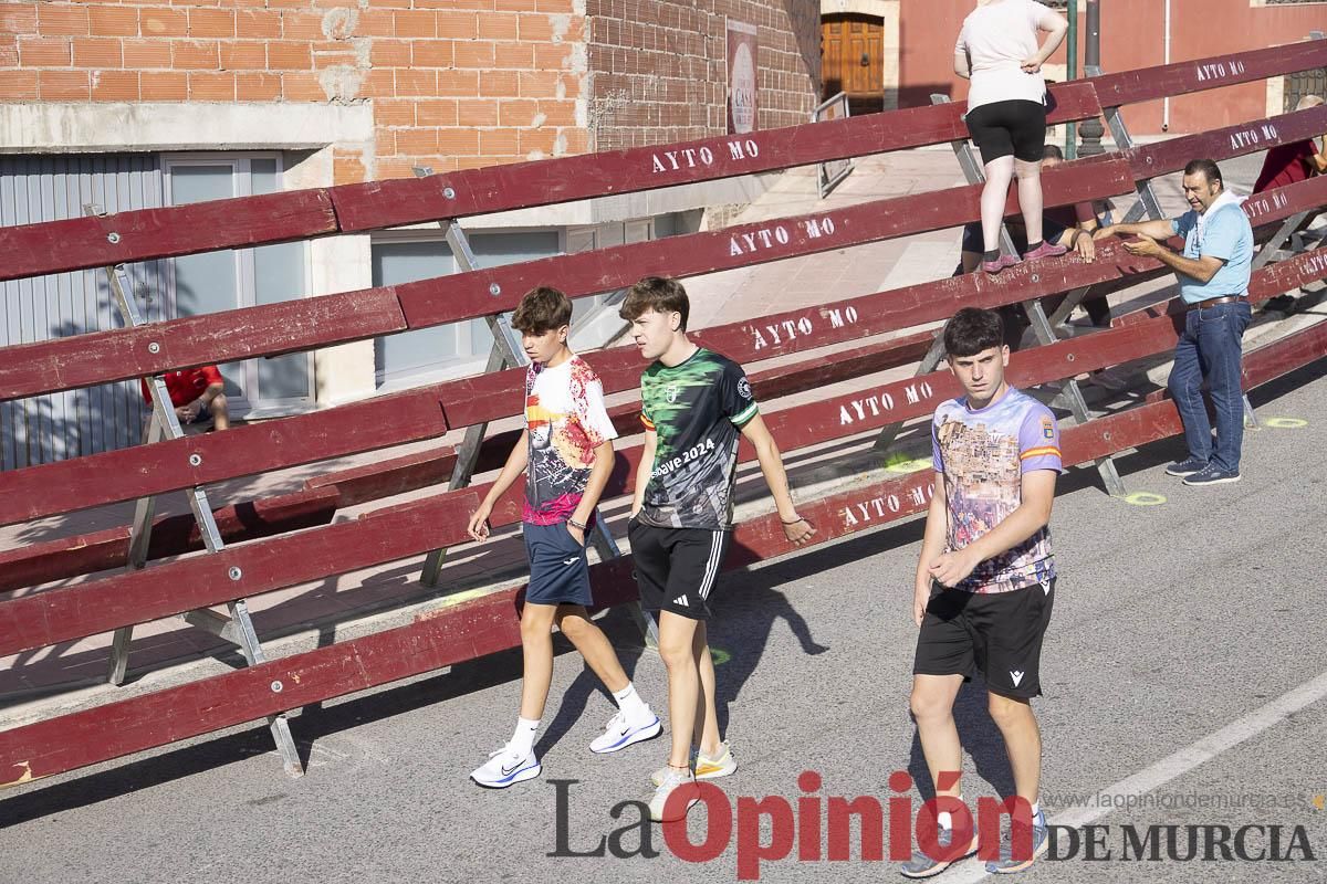 Séptimo encierro de las Fiestas de Moratalla