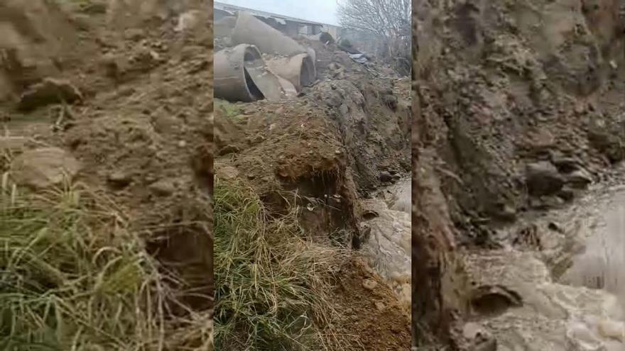 Video | Desbordamiento arroyo La Pardalilla de Plasencia