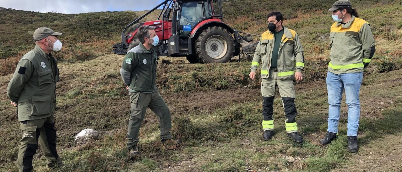 El Distrito Forestal XVI desbroza150 hectáreas para la prevención de incendios en lo que va de año