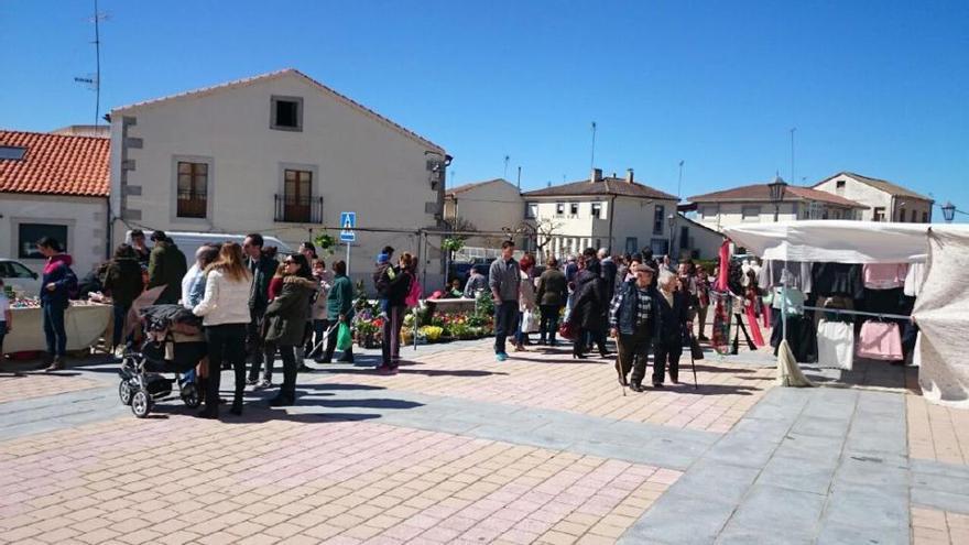 Desarrollo mercado Almeida